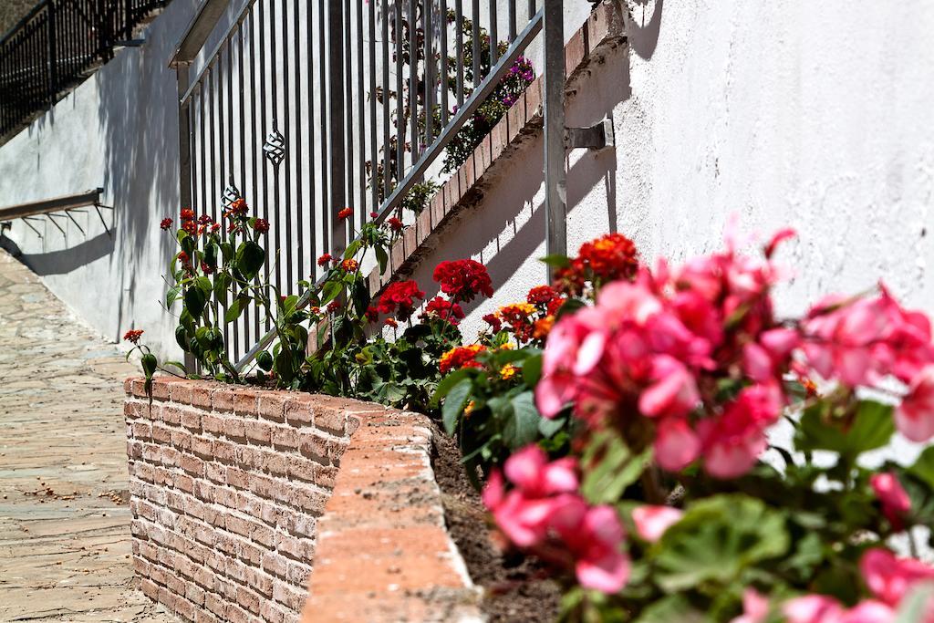 I Tre Pini Apartamento Pollica Exterior foto